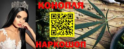 ECSTASY Будённовск